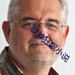 战(戰)神狂飙小说