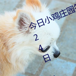 今日小鸡庄(莊)园答题(題)的谜底2021年7月24日 今(今)日小(小)鸡庄园答(答)题的
