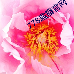 778趣播官网(網)