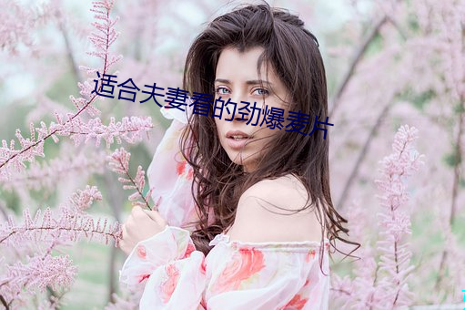 適合夫妻看的勁爆麥片