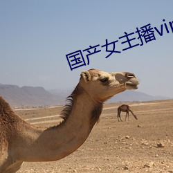 国(guó)产(chǎn)女主播vip视频
