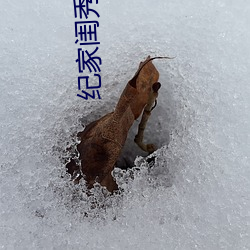 纪家闺秀(xiù)