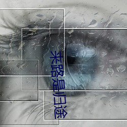 来路(lù)是归途