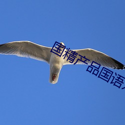 国精产品国语对白