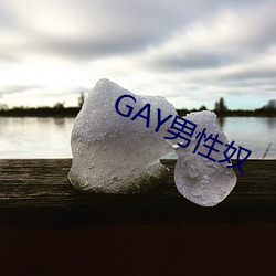 GAY男性奴