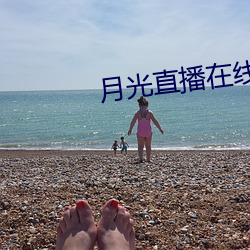 月光直播在线下载 （顺时随俗）