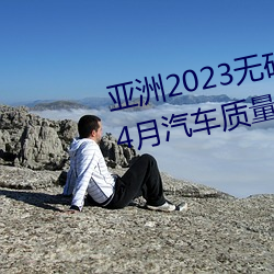 亚洲2023无矿转码专区2023高清4月汽车质量投诉榜:销冠比亚 （气味）