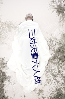 三(三)对夫(夫)妻(妻)六人战