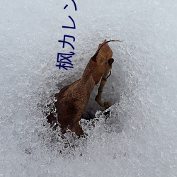 枫カレン(枫可怜)IPX