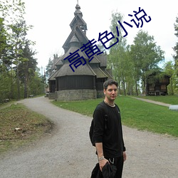 高黄色小说