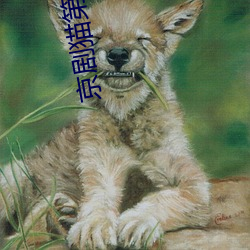 京剧猫(貓)第(第)二季免费(費)观看完整