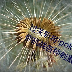 过关斩(斬)将!pokemmo18rx动画无尽带你挑战各种刺激关(關)卡