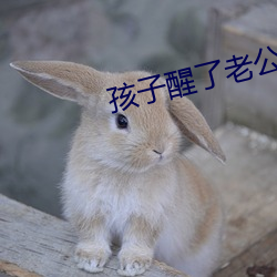 vwinӮ(й) - ٷվ