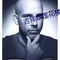 吉祥纹莲(lián)花楼txt