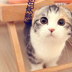 《漂(漂)亮的家教5》