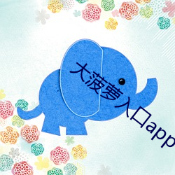 大菠蘿入口app下載