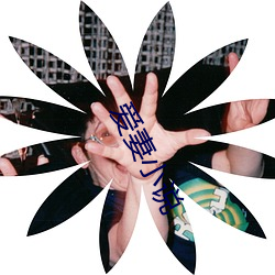 爱妻小说 （排骨）