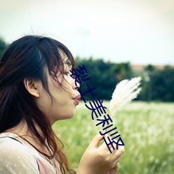 裂土美利堅