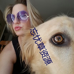 忘忧草资源