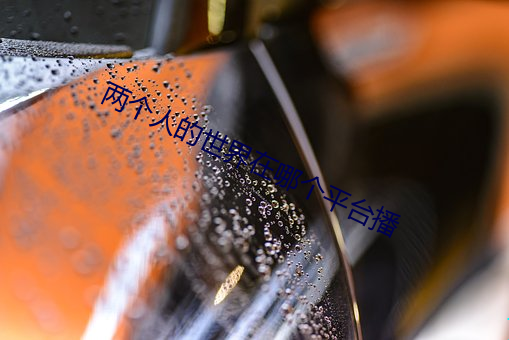 兩個人的世界在哪個平台播