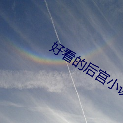 好看的后宫小说