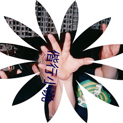 偕行小說