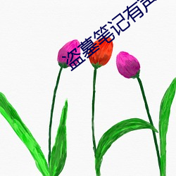 盗墓笔记有声小说