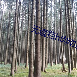 无遮(遮)挡h肉动漫(漫)在线(線)观(觀)看(看)幽(幽)