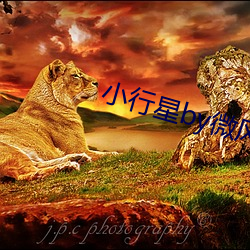 小行星by微风几许 （岁月）