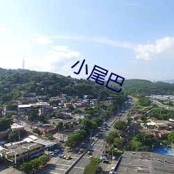 小尾巴