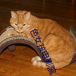 色女(nǚ)孩电影院