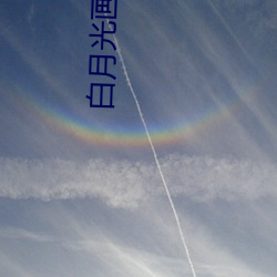 白月光画七 （收尸）
