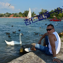 杏仁直播一分三块 （私心自用��