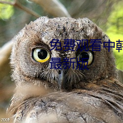 欧博abg - 官方网址登录入口