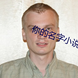 你的名字小说 （言听谋决
