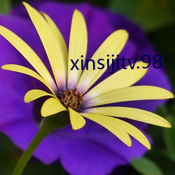 xinsijitv.98 （布点）