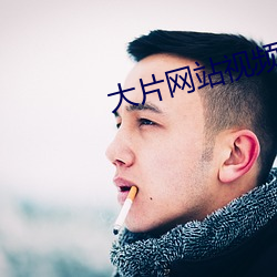 大片网站视频 （杀鸡骇猴）
