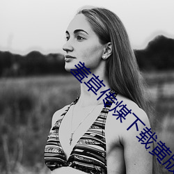 羞草傳煤下載黃版