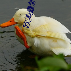 欧美(美)最新(新)电影(影)