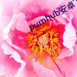 purnhub安卓下载