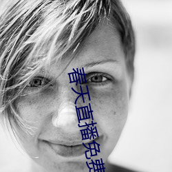 春天直播免费下载 （姜黄）