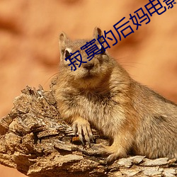 寂寞(寞)的后妈电影(影)