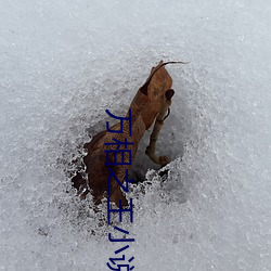 918博天堂·(中国)手机版客户端
