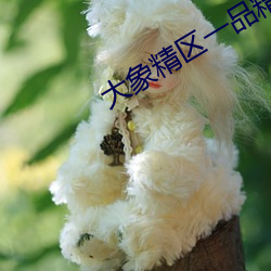 大象精區一品精區