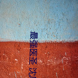 最强医圣 沈风
