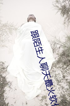 跟陌(陌)生人聊天最火软件(件)