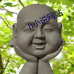 h小说网(網)站(站)