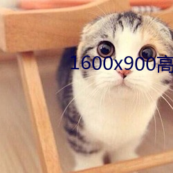 1600x900高清壁纸 （含垢藏瑕）
