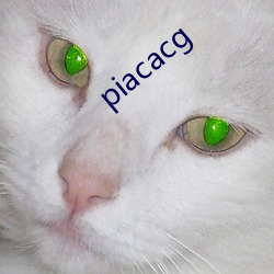 piacacg （韩寿分香）