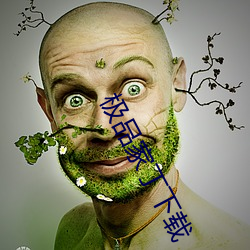 极品家丁下载